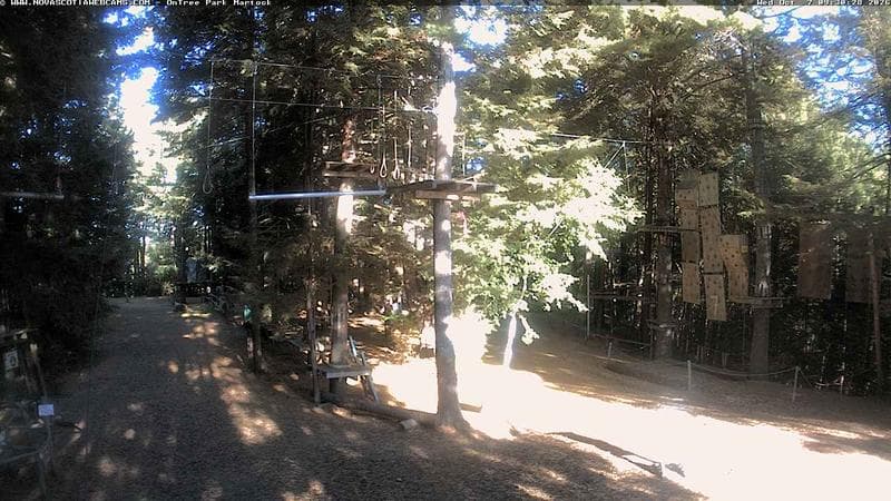Ontree Park