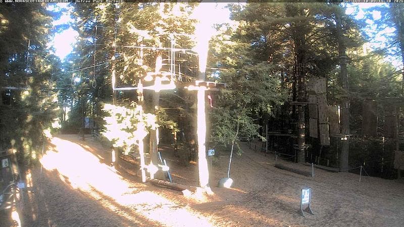 Ontree Park