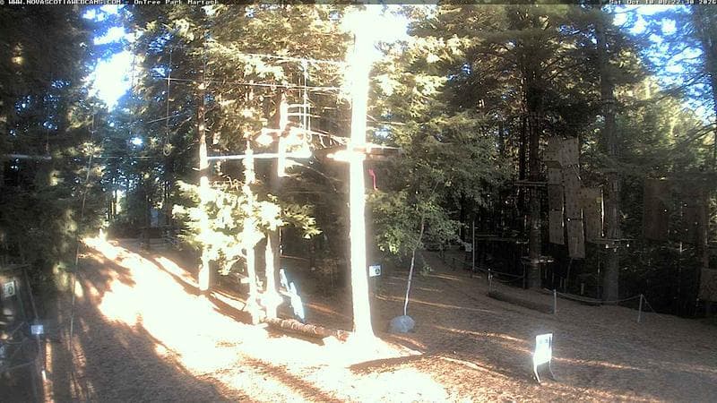 Ontree Park