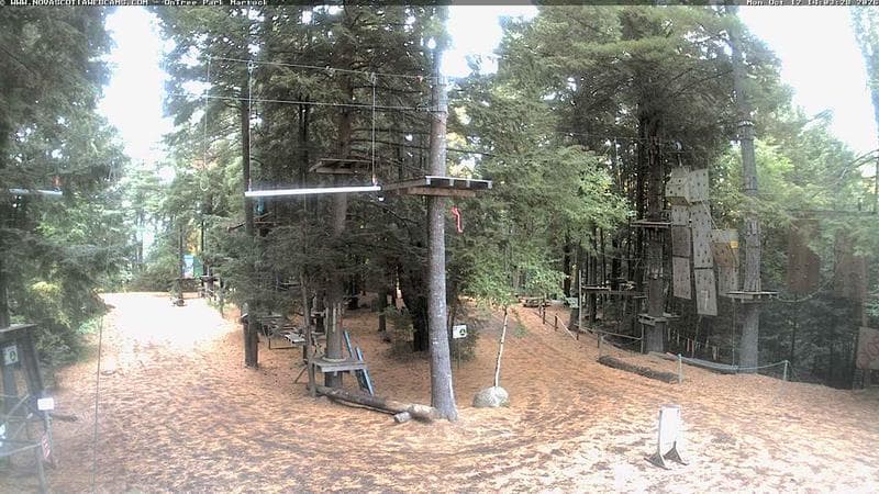 Ontree Park