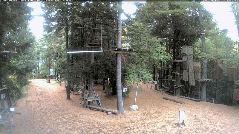 Ontree Park