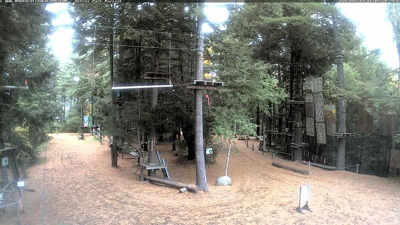 Ontree Park