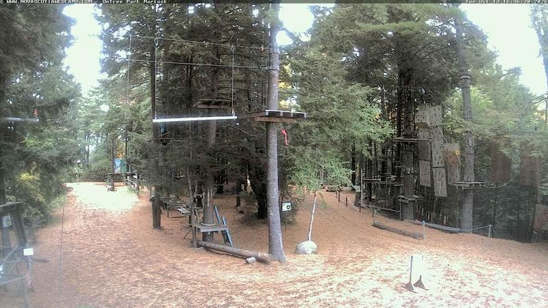 Ontree Park