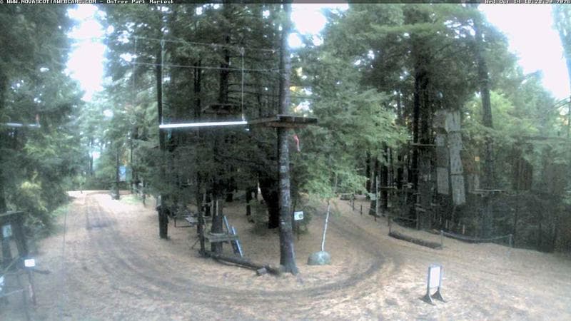 Ontree Park