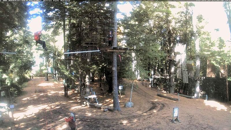 Ontree Park