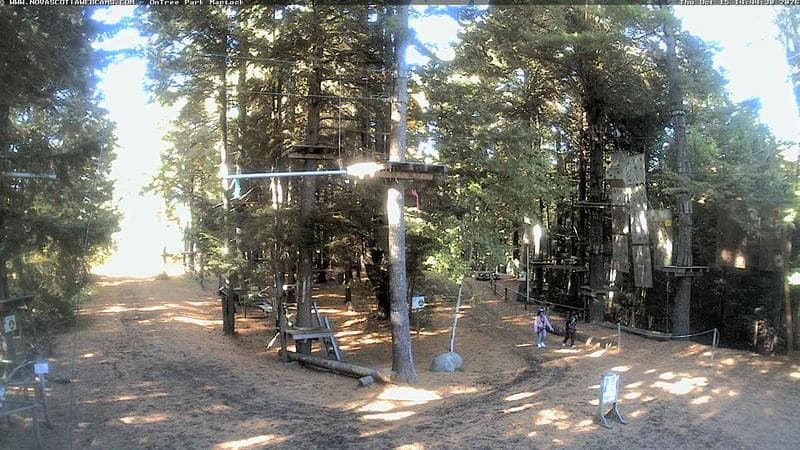 Ontree Park