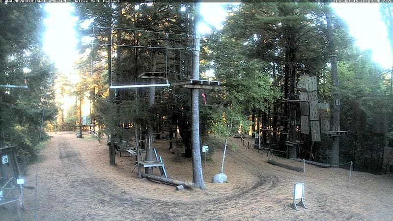 Ontree Park