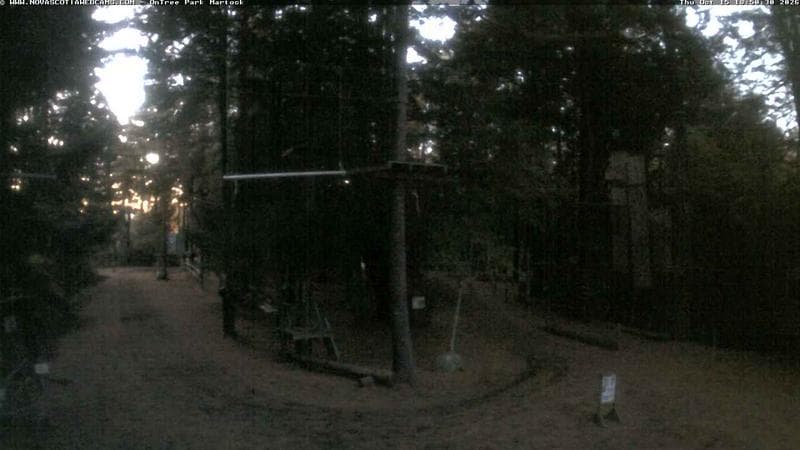 Ontree Park