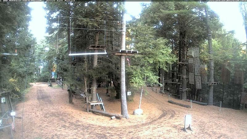 Ontree Park