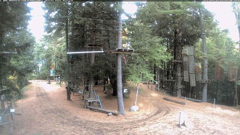 Ontree Park
