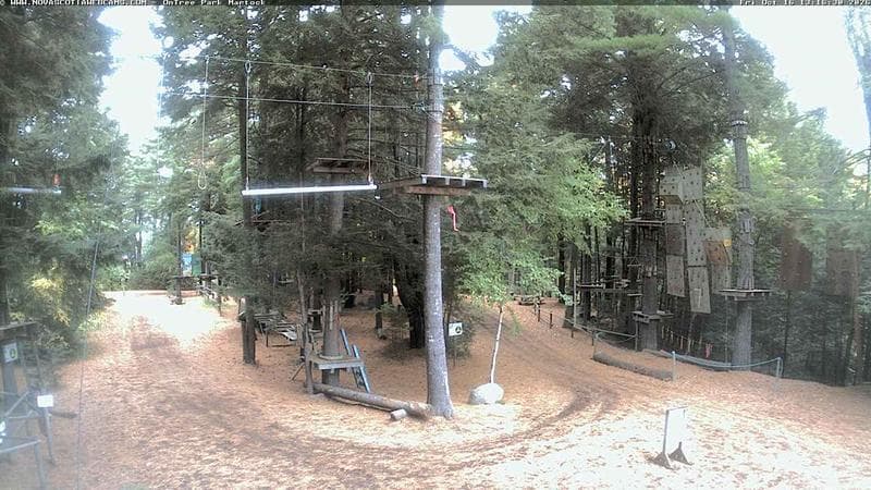 Ontree Park
