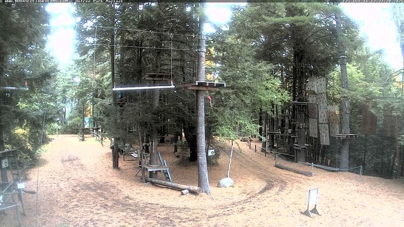 Ontree Park