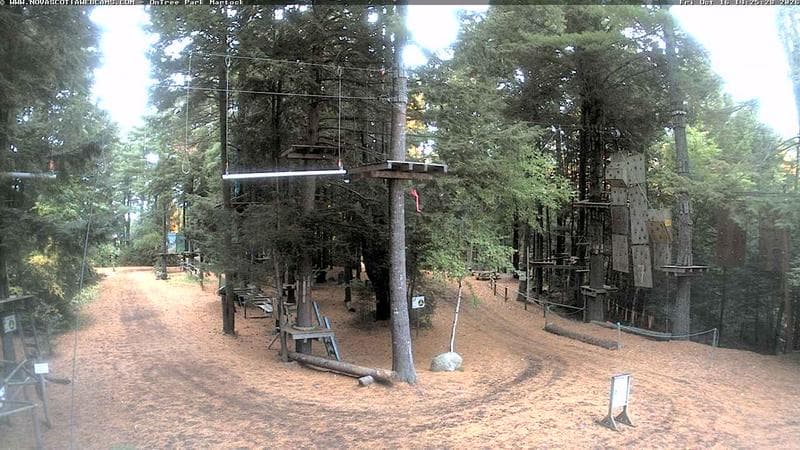 Ontree Park