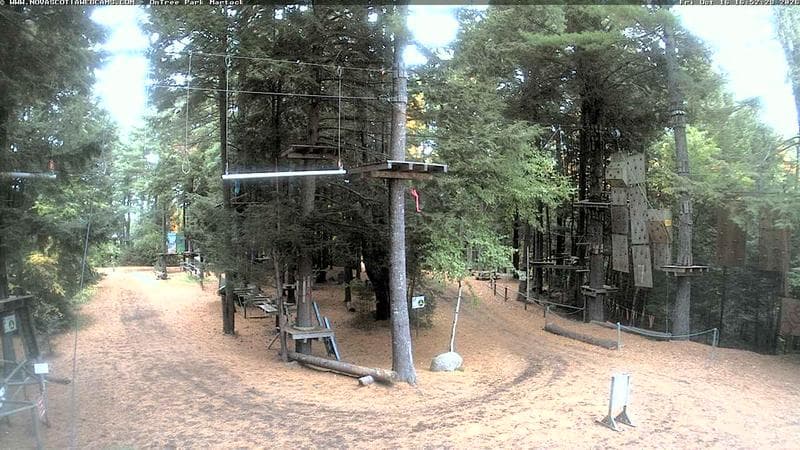 Ontree Park