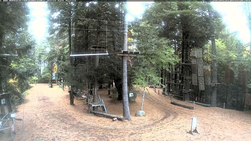 Ontree Park