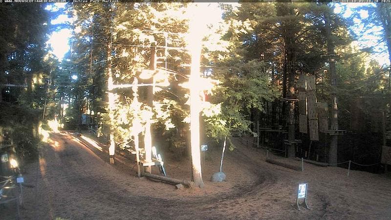 Ontree Park