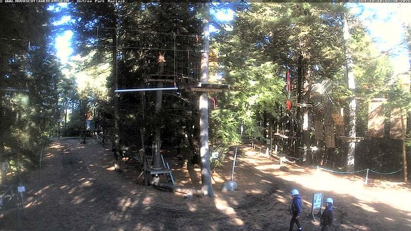 Ontree Park