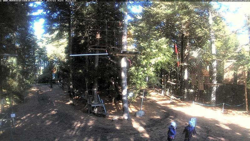 Ontree Park