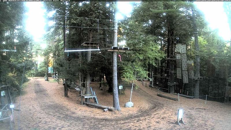 Ontree Park