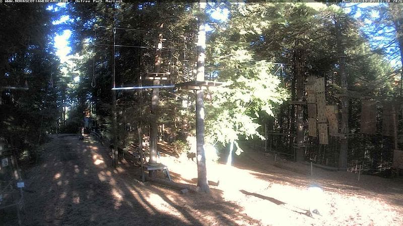 Ontree Park