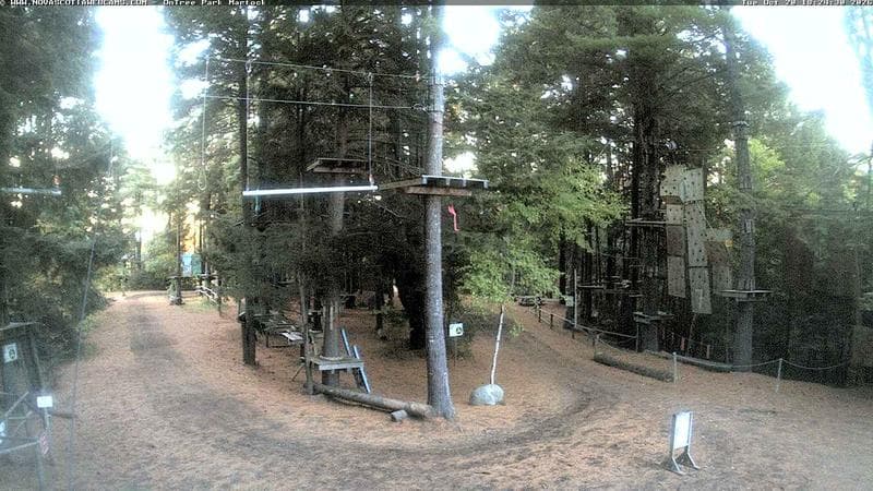Ontree Park