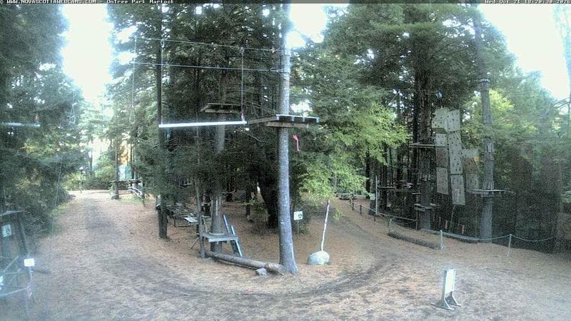 Ontree Park