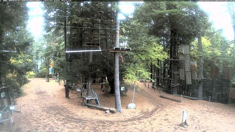 Ontree Park