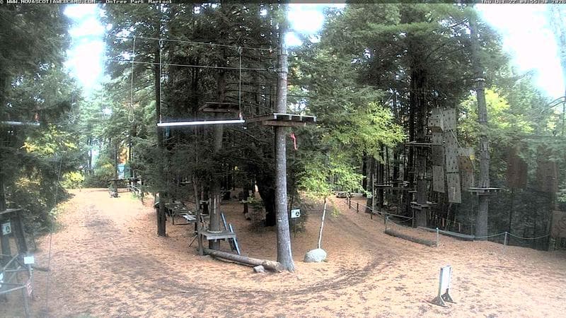 Ontree Park