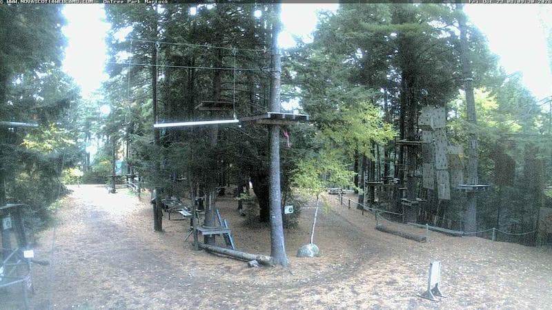 Ontree Park