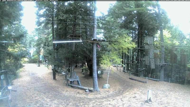 Ontree Park