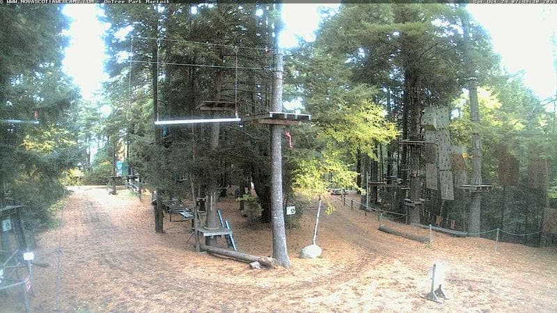 Ontree Park