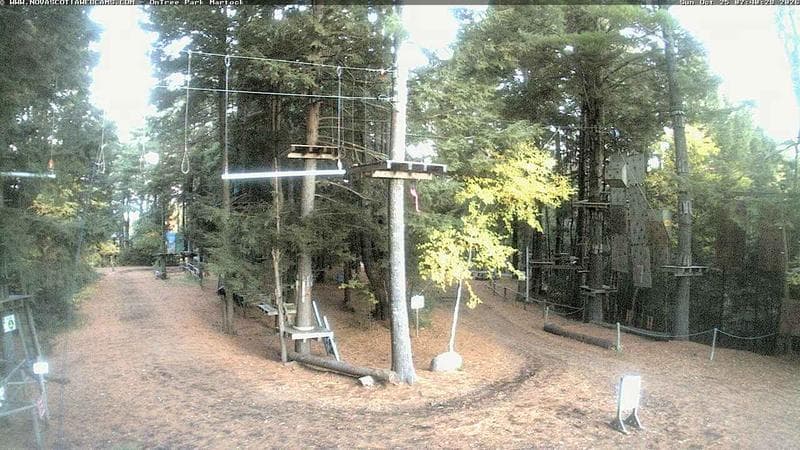 Ontree Park