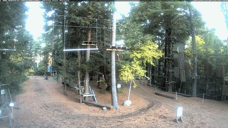 Ontree Park