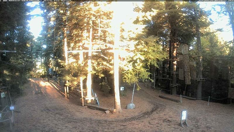 Ontree Park
