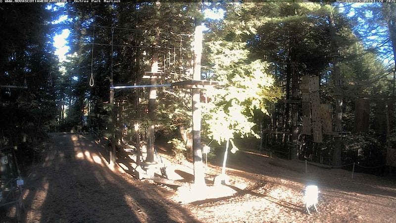 Ontree Park