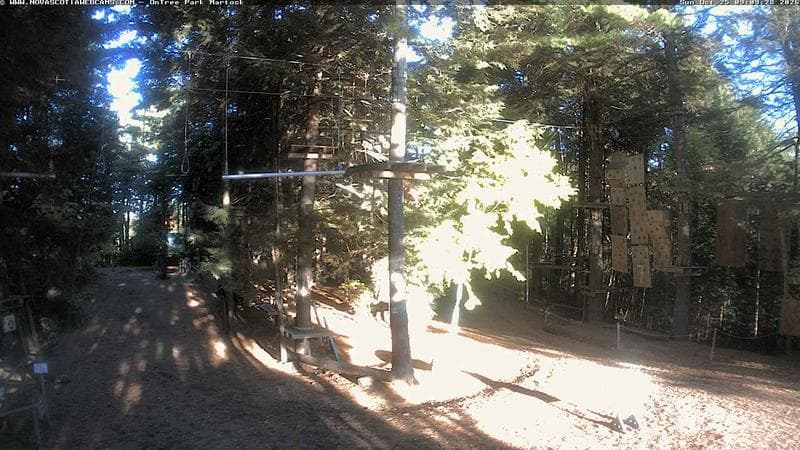 Ontree Park
