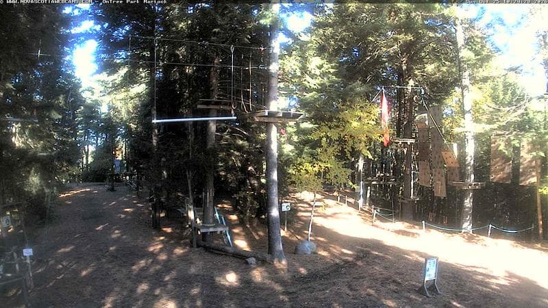 Ontree Park