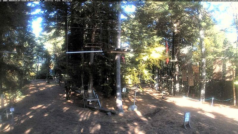 Ontree Park