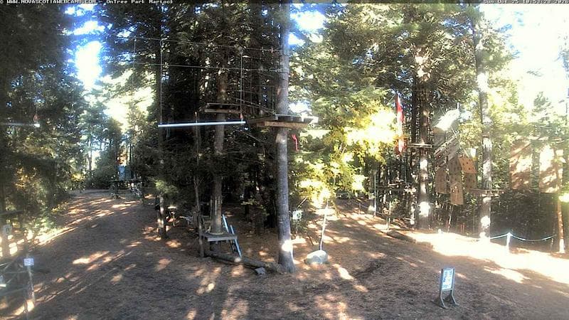 Ontree Park