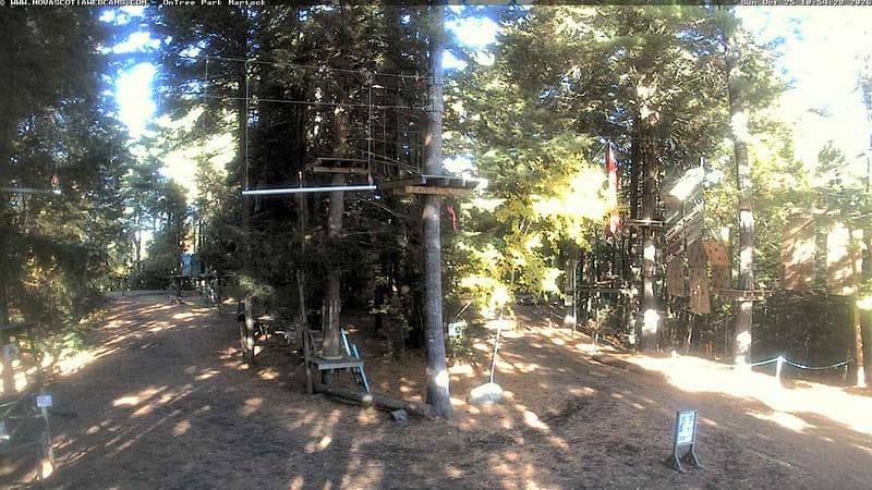 Ontree Park