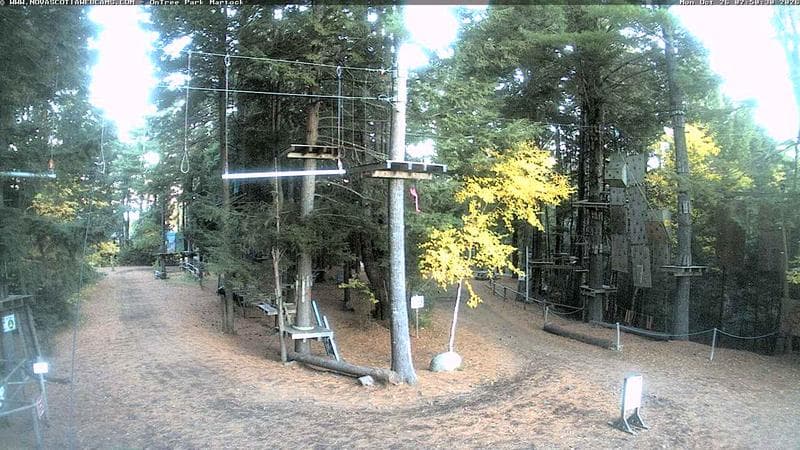 Ontree Park