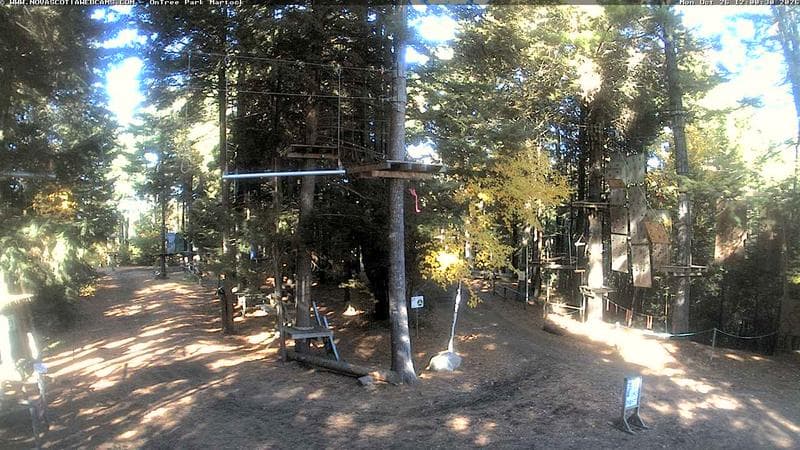 Ontree Park