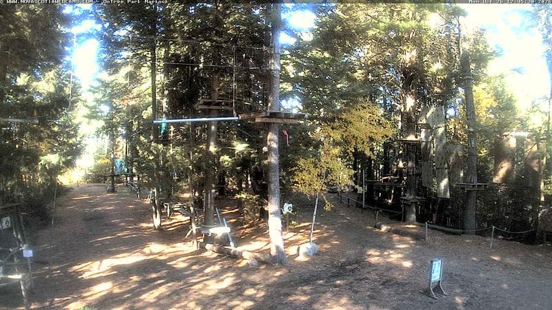 Ontree Park