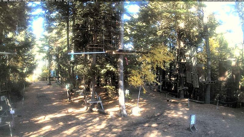 Ontree Park