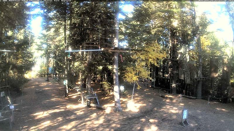 Ontree Park