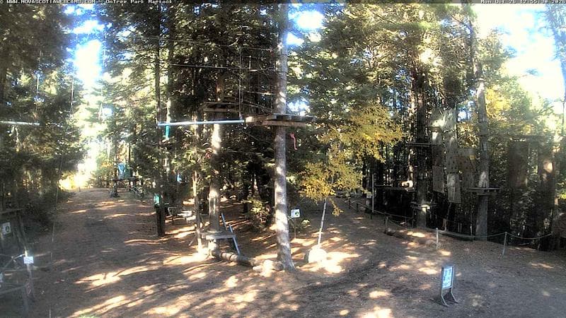 Ontree Park