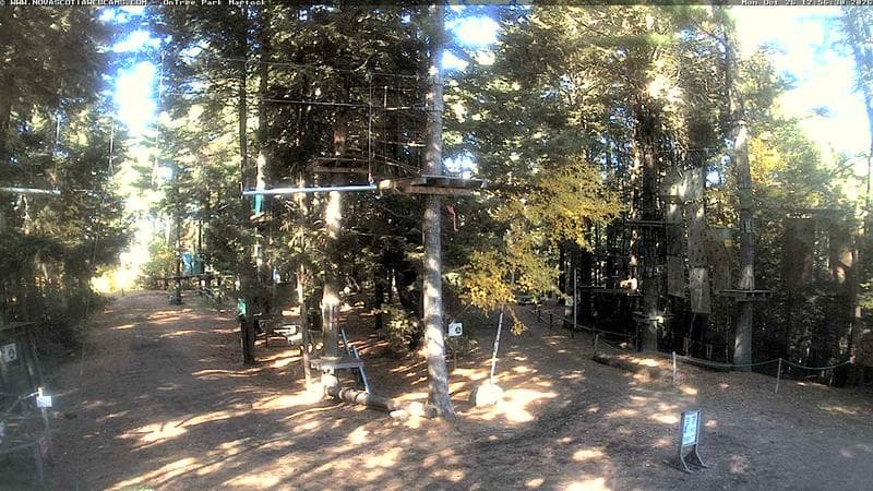 Ontree Park