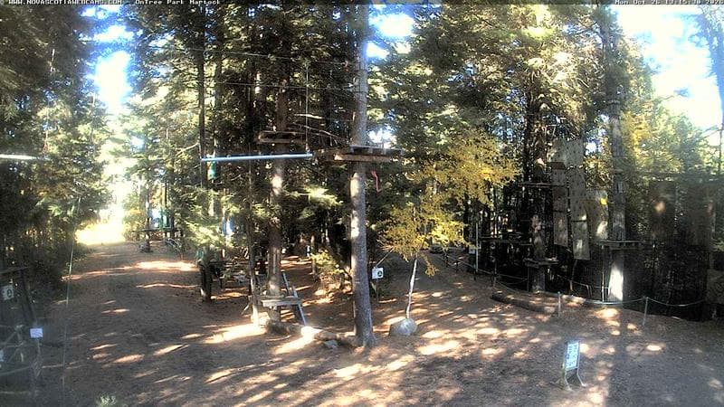Ontree Park