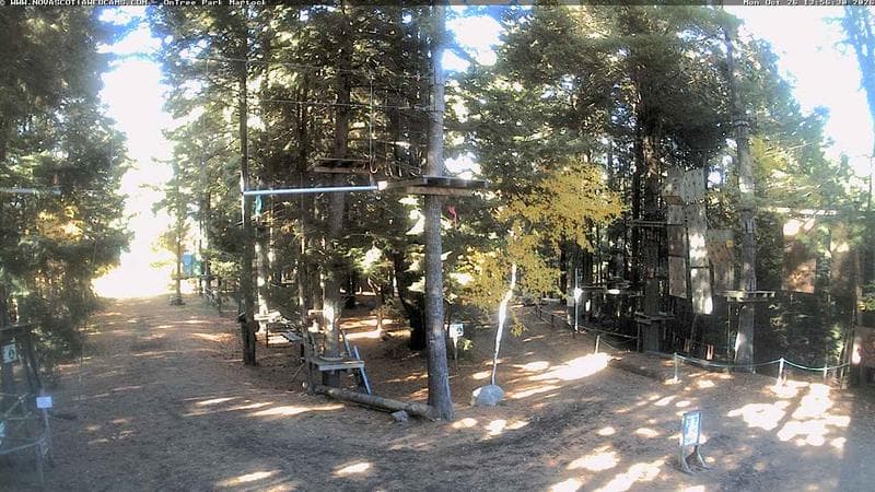 Ontree Park