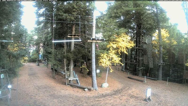 Ontree Park